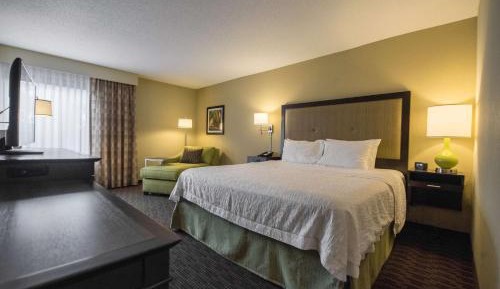 King Room with King Bed - Non-Smoking