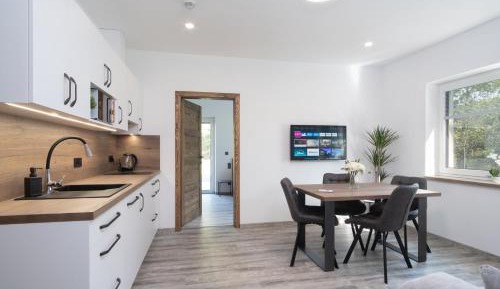 One-Bedroom Deluxe Apartment