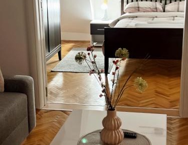 Deluxe One-Bedroom Apartment