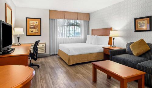 Queen Room with Sofa Bed and Kitchenette - Pet Friendly/Non-Smoking