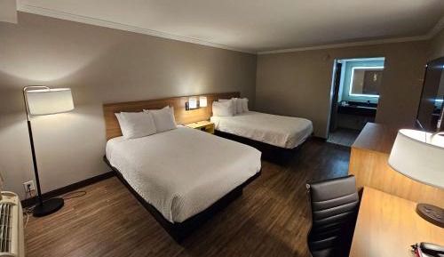 Studio Suite with Two Double Beds - Non-Smoking