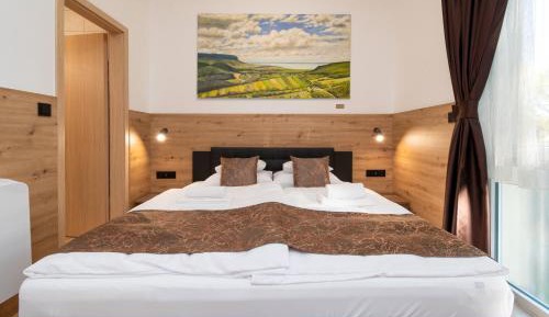 Studio Apartment with King Bed
