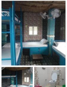 Single Bed in 4-Bed Dormitory Room
