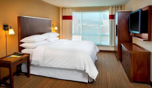 Suite King Bed and Sofa Bed