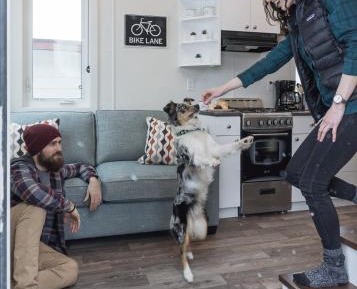 Queen Loft Cabin with Full Kitchen - Dog Friendly