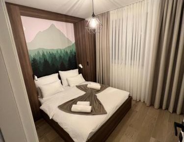 Superior Deluxe Double or Twin Room 