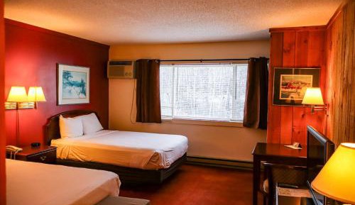 Modern Premium Room
