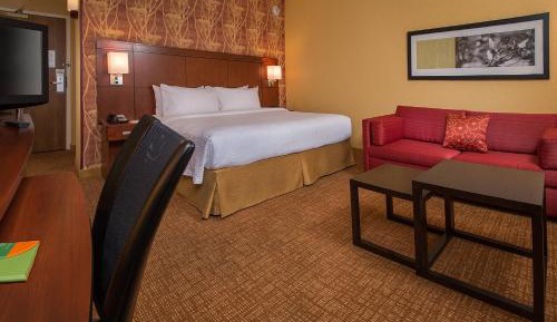 King Room with Sofa Bed - Hearing Accessible
