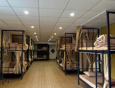 Bunk Bed in Mixed Dormitory Room