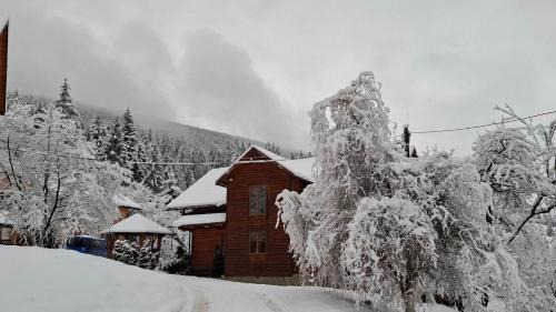 Vacation Home