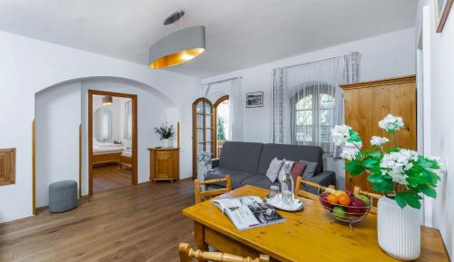 Large One-Bedroom Apartment Superior 