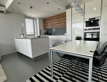 Deluxe Two-Bedroom Apartment with Private Terrace
