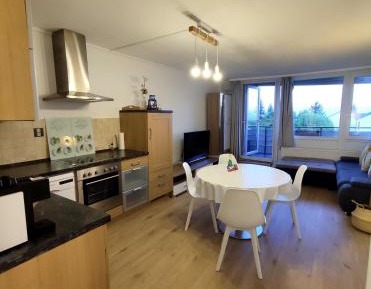One-Bedroom Family Apartment