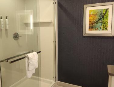Suite, 1 King, Sofa bed