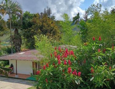 Four-Bedroom Holiday Home