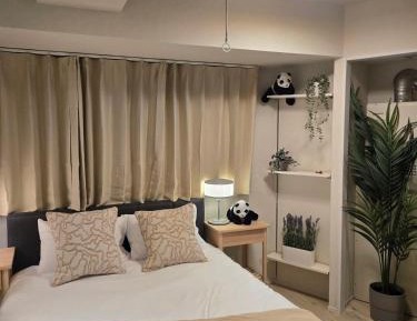 Studio with Sofa Bed