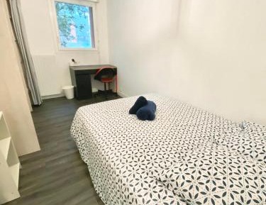 Double Room with Shared Bathroom