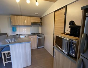 Mobile Home