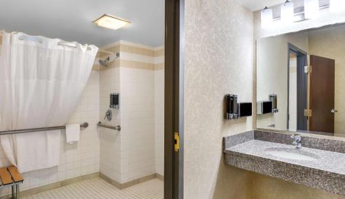 Accessible - One-King Room (roll-in shower)