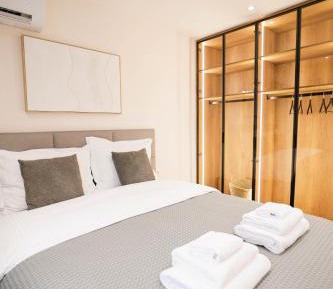 Deluxe One-Bedroom Apartment