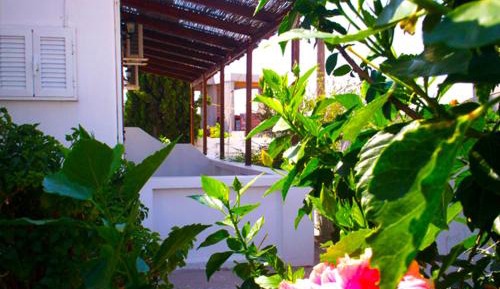 Twin Room with Garden View