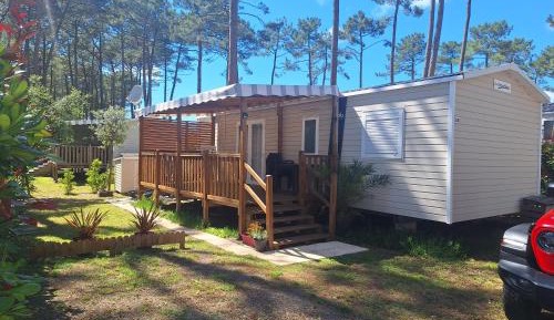 Mobile Home
