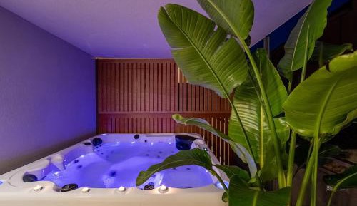 Two-Bedroom Deluxe Apartment with Balcony