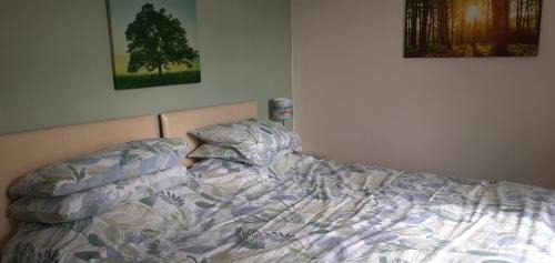 Double or Twin Room with Mountain View
