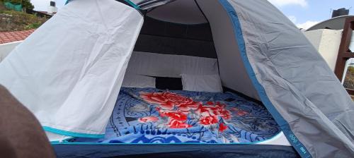 Tent