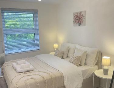 Deluxe One-Bedroom Apartment