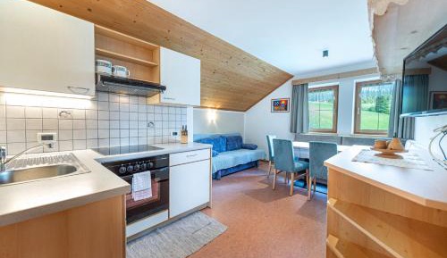 Apartment with Mountain View