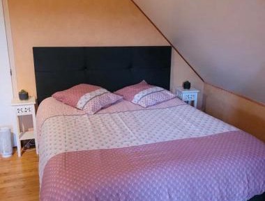 King Room with Garden View