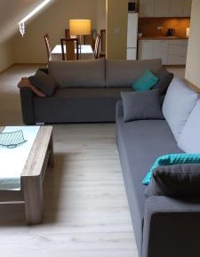Two-Bedroom Family Apartment