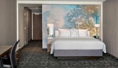 King Room with Sofa Bed - Hearing Accessible
