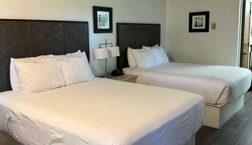 Queen Room with River View - Non-Smoking