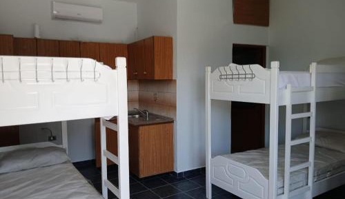Bed in 6-Bed Mixed Dormitory Room