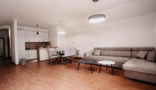 Three-Bedroom Premium Apartment