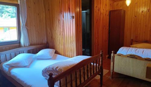 Triple Room with Mountain View