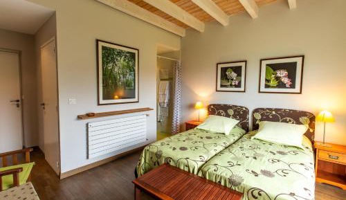 Double or Twin Room with Mountain View