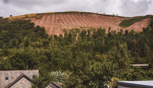 Double Room with Shower