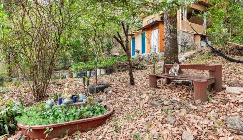 Bungalow with Garden View