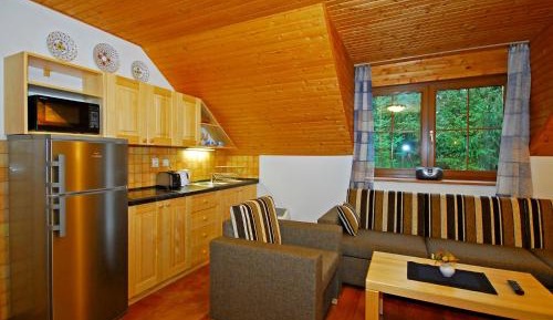 Large Superior Apartment