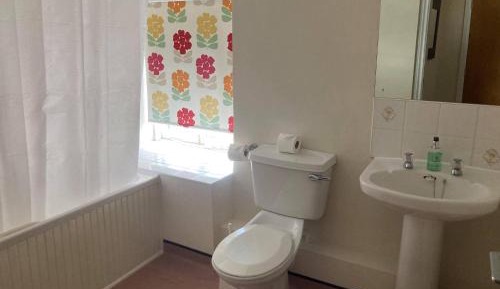 King Room with Garden View