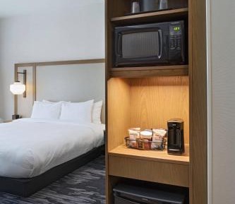 Executive King Suite with Sofa Bed