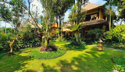 Apartment with Garden View