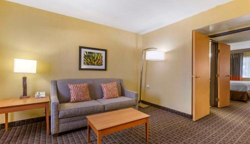 One-Bedroom King Suite