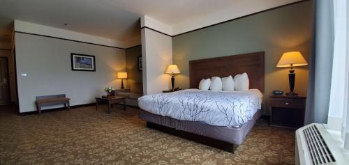 King Room with Jetted Tub - Non-Smoking