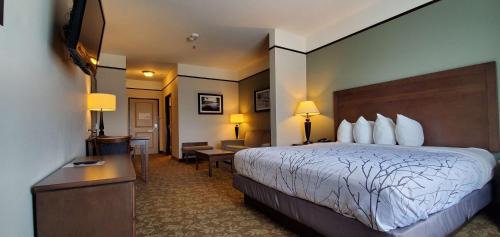 One-Bedroom King Suite with Sofa Bed - Non-Smoking