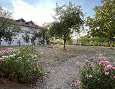 Empty Lot