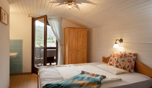 Single Room with Shared Bathroom and Balcony